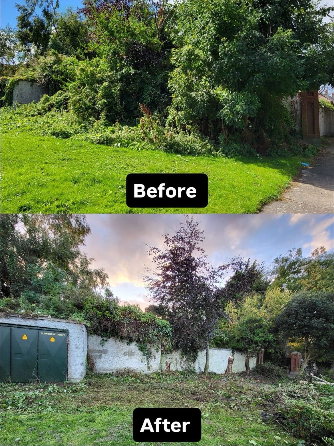 Rosemount Community Group, resident association clean up.