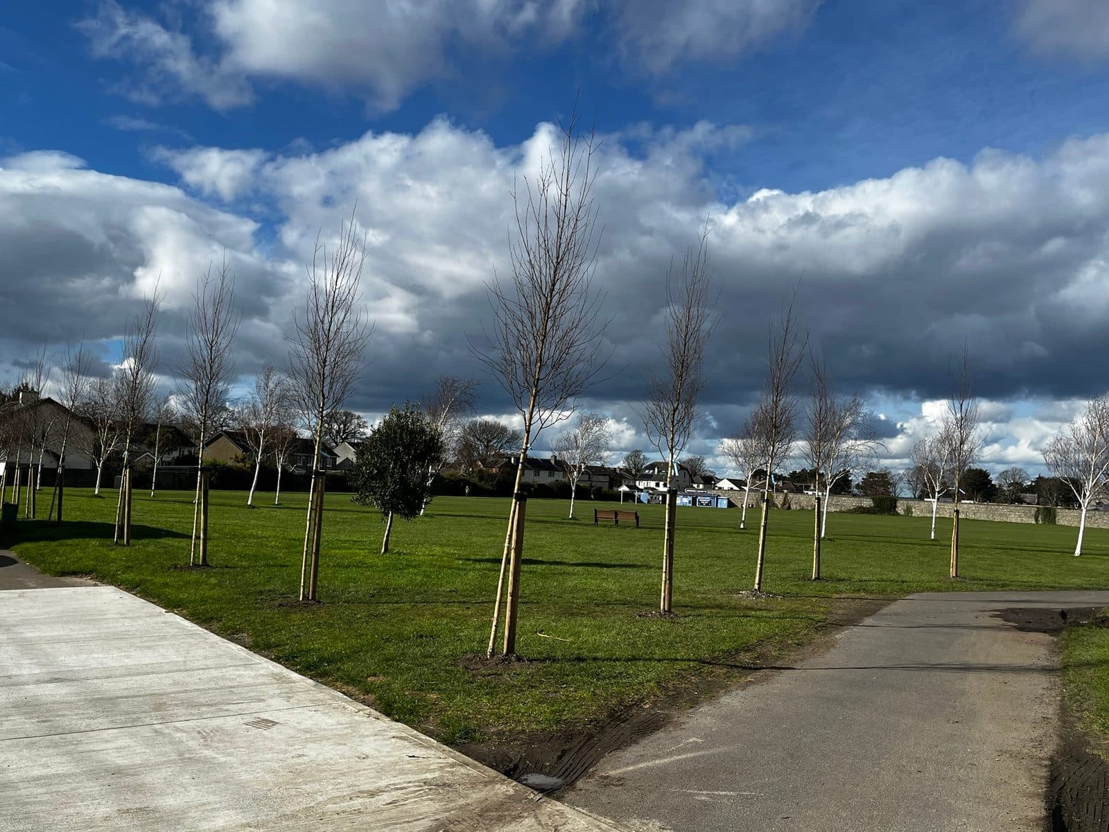 Protecting Rosemount Green