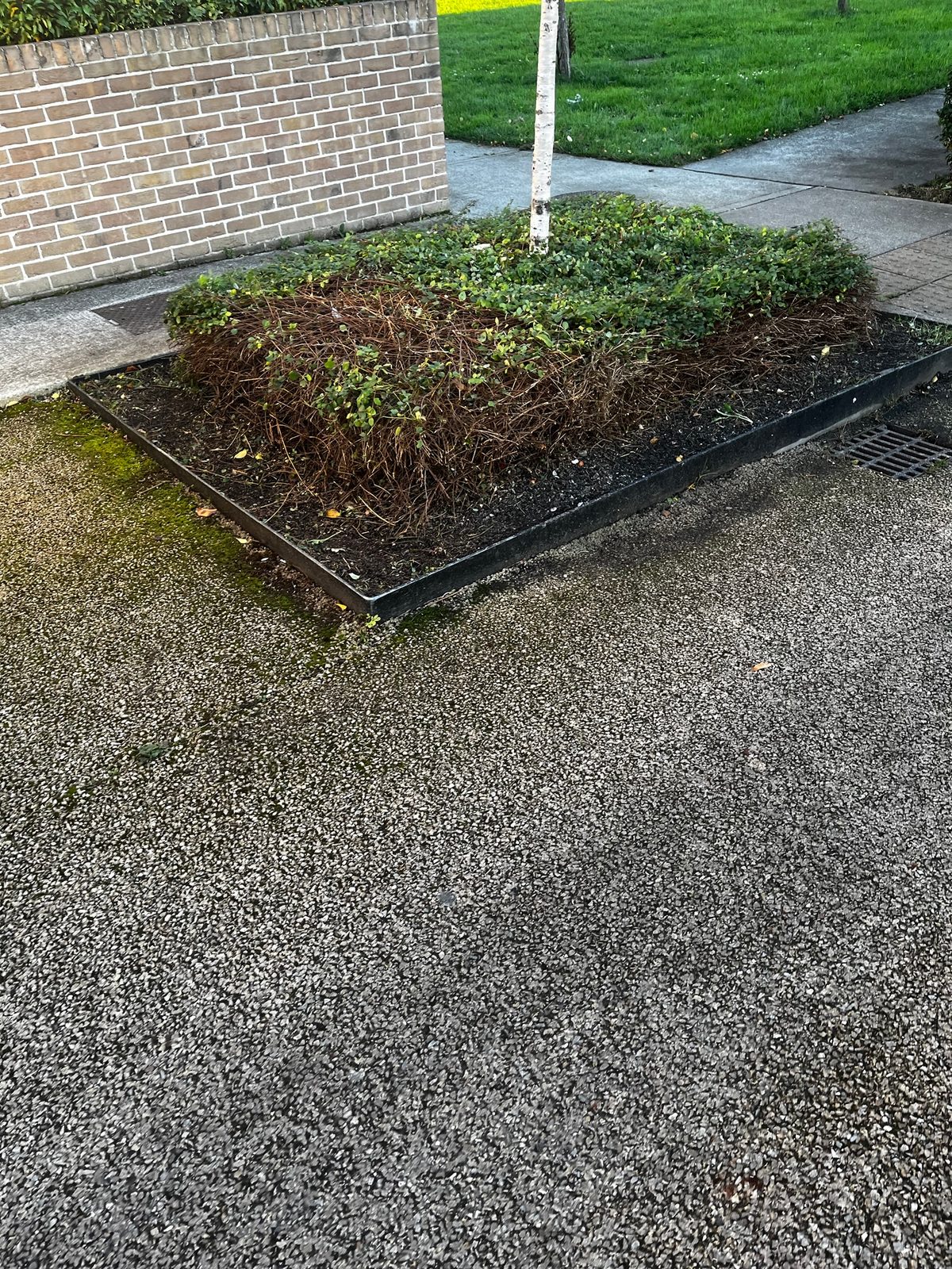 Photo from “🚶‍♀️ Community Update from Rosemount Community Group 🌿”