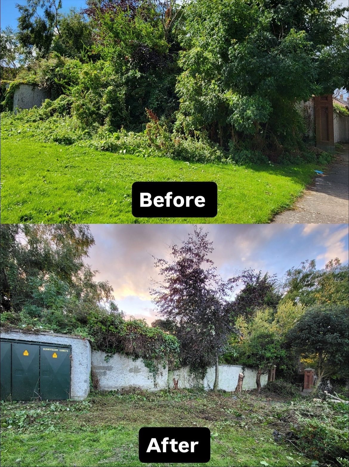 Photo from “Rosemount Community Group Springs into Action: Clearing, Cleaning and Planting for a Brighter Neighbourhood”