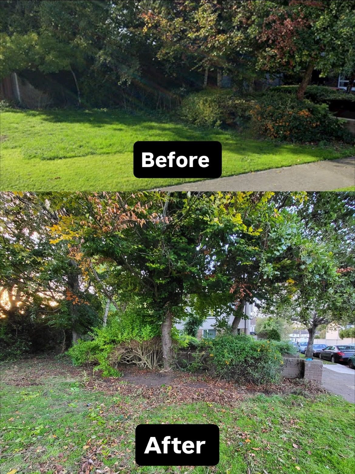 Photo from “Rosemount Community Group Springs into Action: Clearing, Cleaning and Planting for a Brighter Neighbourhood”